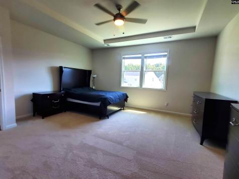 351 Chapin Place Way Chapin SC 29036-9880