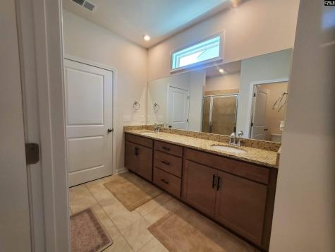 351 Chapin Place Way Chapin SC 29036-9880