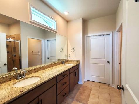 351 Chapin Place Way Chapin SC 29036-9880