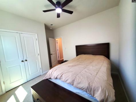 351 Chapin Place Way Chapin SC 29036-9880