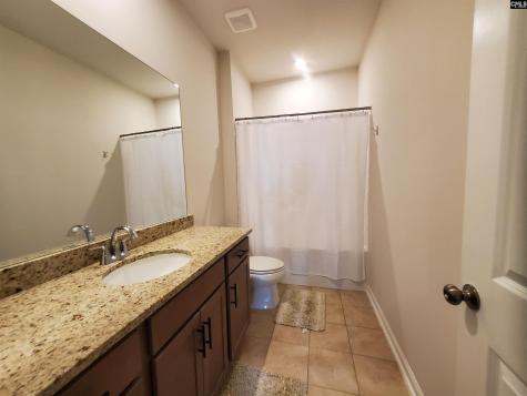 351 Chapin Place Way Chapin SC 29036-9880