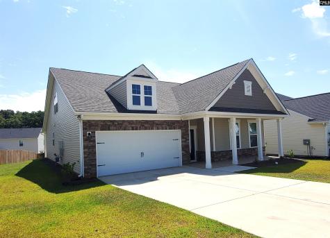 351 Chapin Place Way Chapin SC 29036-9880