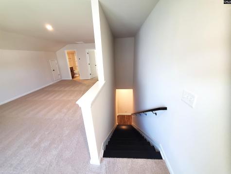 351 Chapin Place Way Chapin SC 29036-9880