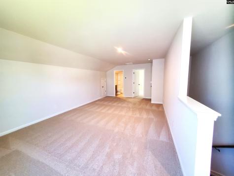 351 Chapin Place Way Chapin SC 29036-9880