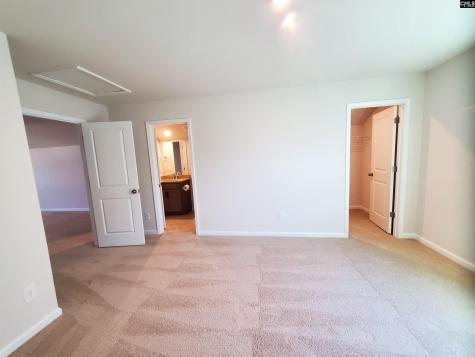 351 Chapin Place Way Chapin SC 29036-9880