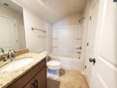 351 Chapin Place Way Chapin SC 29036-9880
