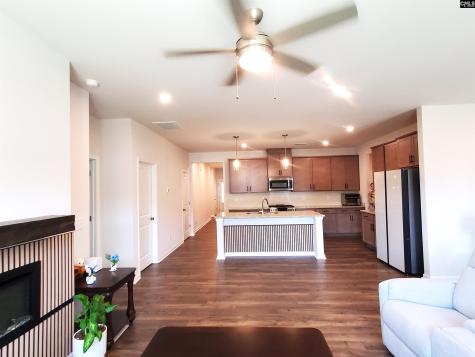 351 Chapin Place Way Chapin SC 29036-9880