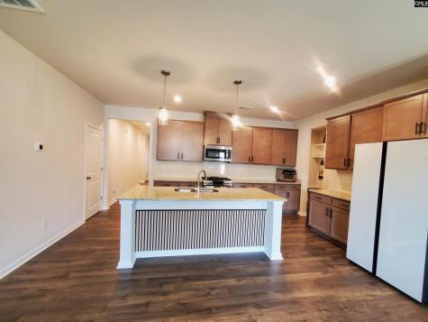 351 Chapin Place Way Chapin SC 29036-9880