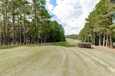 14 Varsity Lane Blythewood SC 29016
