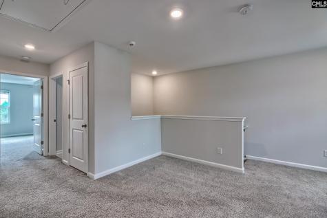 518 Cricket Chirp Lane Elgin SC 29045