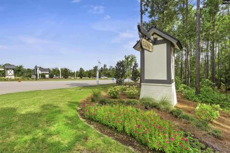 518 Cricket Chirp Lane Elgin SC 29045