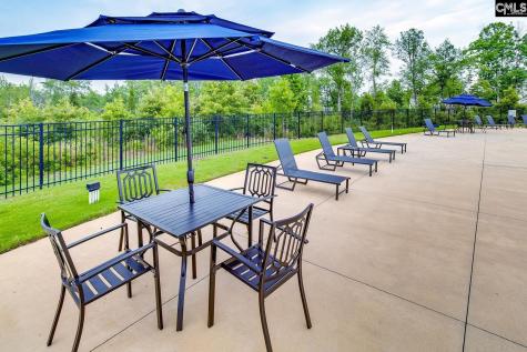 518 Cricket Chirp Lane Elgin SC 29045