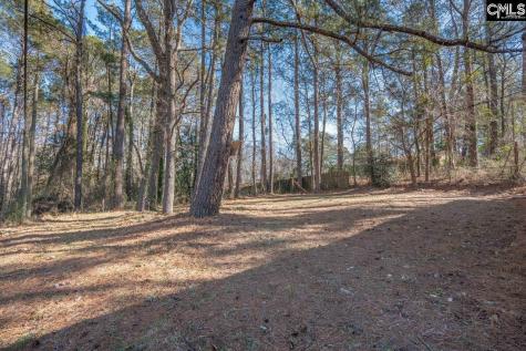 413 Beaverbrook Drive Columbia SC 29203