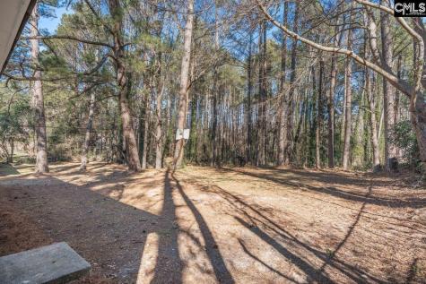 413 Beaverbrook Drive Columbia SC 29203