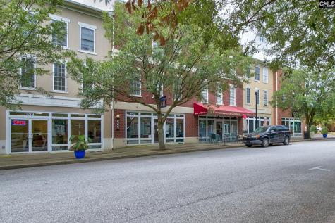 502 Eagle Pointe Drive Columbia SC 29229