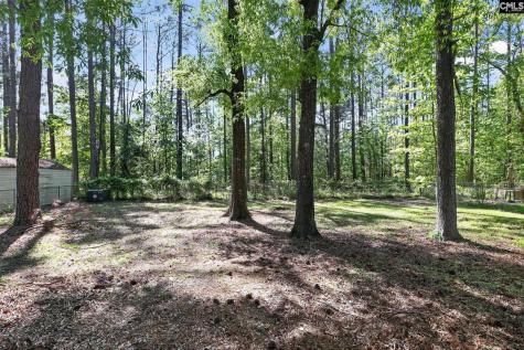 452 Harleston Road Irmo SC 29063