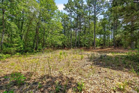 614 Longs Pond Road Lexington SC 29073