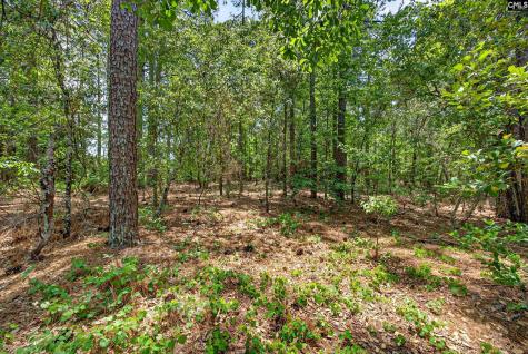 614 Longs Pond Road Lexington SC 29073