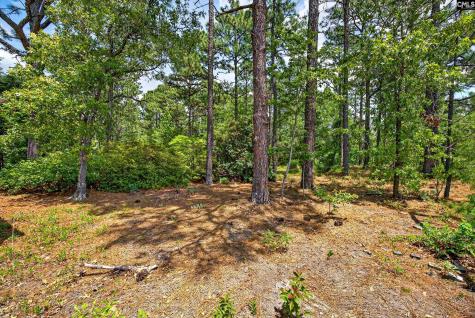 614 Longs Pond Road Lexington SC 29073