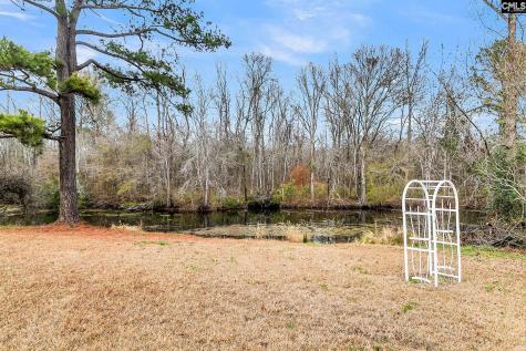1677 Clearview Drive Manning SC 29102