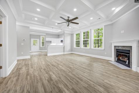 193 Peppermint Lane Blythewood SC 29016