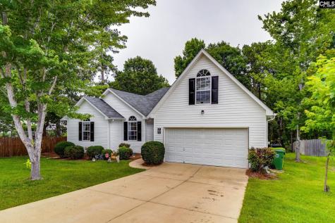 248 N High Duck Trail Blythewood SC 29016