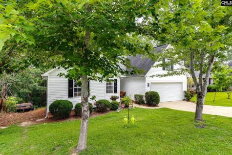 248 N High Duck Trail Blythewood SC 29016