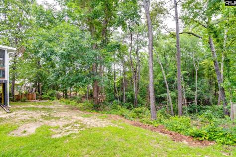 248 N High Duck Trail Blythewood SC 29016