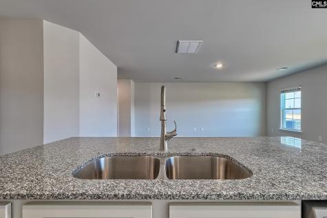 647 Marbled Teal Lane Hopkins SC 29061
