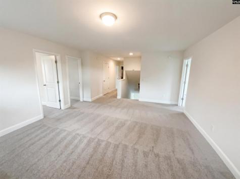 243 Meadow Saffron Drive Lexington SC 29073