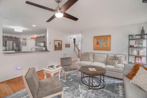 173 Oldtown Drive Lexington SC 29072