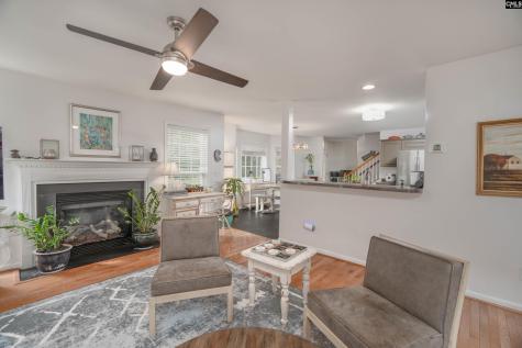 173 Oldtown Drive Lexington SC 29072