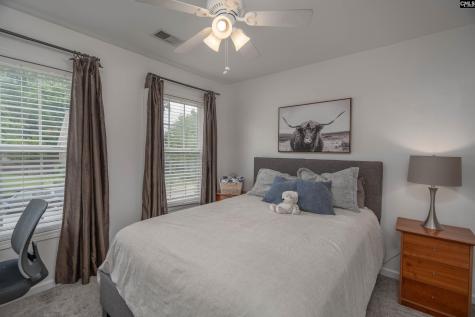 173 Oldtown Drive Lexington SC 29072