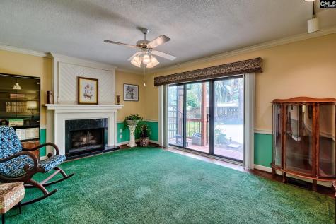 213 Tyborne Circle Columbia SC 29210-4233