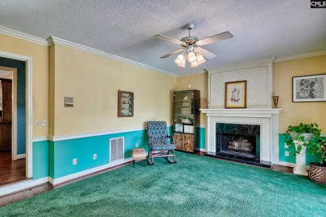 213 Tyborne Circle Columbia SC 29210-4233