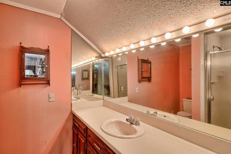 213 Tyborne Circle Columbia SC 29210-4233