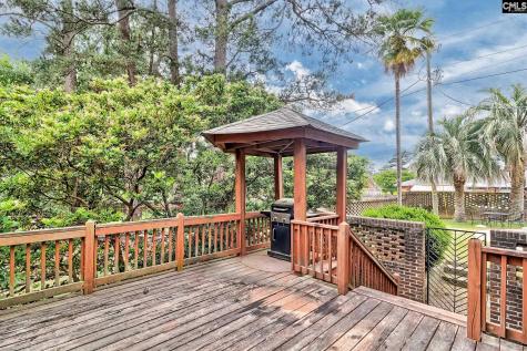 213 Tyborne Circle Columbia SC 29210-4233