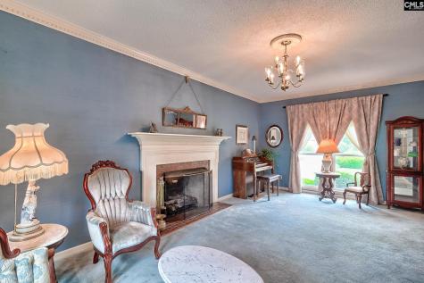 213 Tyborne Circle Columbia SC 29210-4233