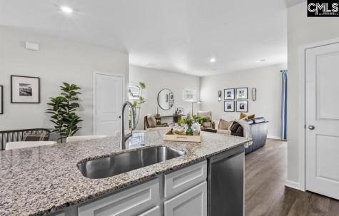 104 New Spring Way Columbia SC 29209