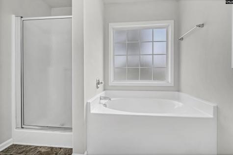 118 Whitton Court Lexington SC 29073