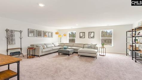 199 Livingston Woods Drive Irmo SC 29063
