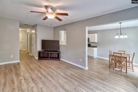 196 Cottage Lake Way Columbia SC 29209