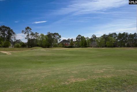 218 Glenn Village Circle Blythewood SC 29016