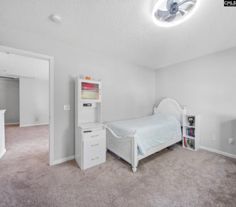 145 Honey Hill Court Lexington SC 29072-7329