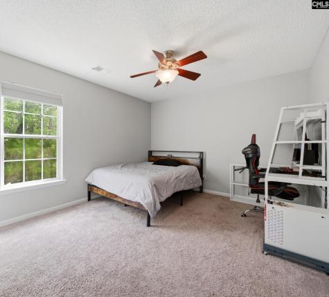 145 Honey Hill Court Lexington SC 29072-7329