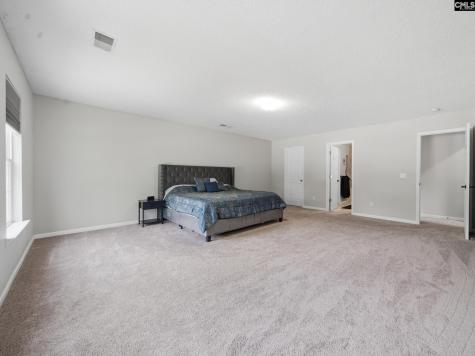 145 Honey Hill Court Lexington SC 29072-7329