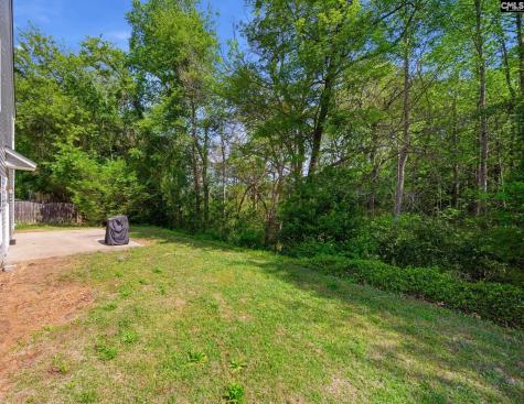 145 Honey Hill Court Lexington SC 29072-7329