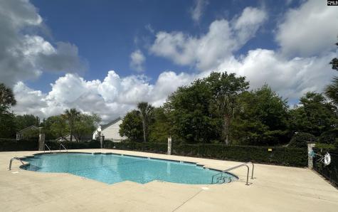 145 Honey Hill Court Lexington SC 29072-7329