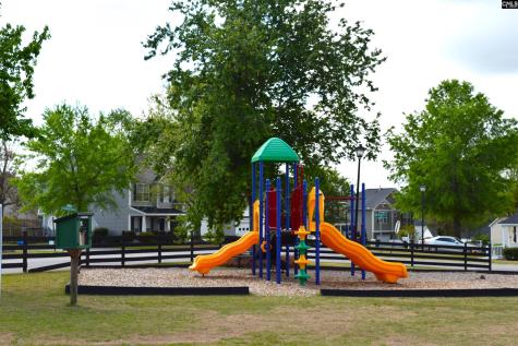 145 Honey Hill Court Lexington SC 29072-7329