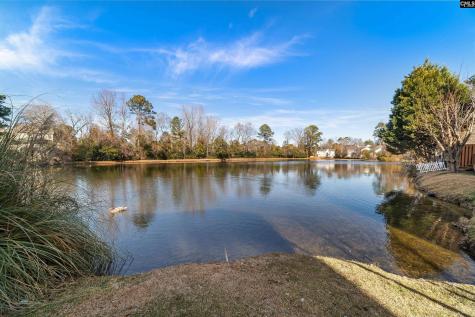 129 Village Walk Columbia SC 29209